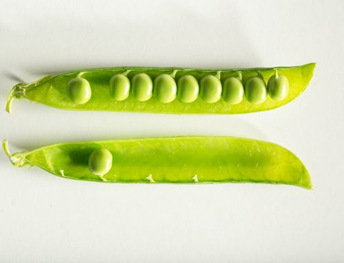 Introducing 2 new Dietitians to our Ballina rooms