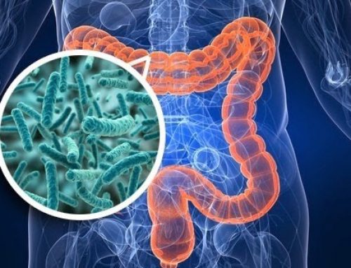 ‘The Gut Movie’ – my 2 take home messages