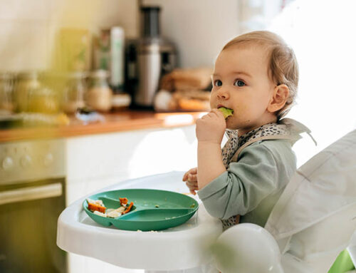 Toddlers Children Teenagers